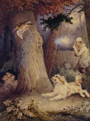 Woodcock Shooting