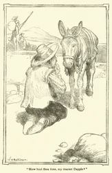 Illustration for Don Quixote