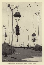 Trapping the clothes moth in the Wilds of Idaho