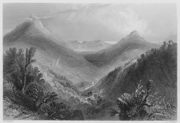 Glen of the Downs