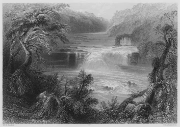 Salmon Leap at Leixlip