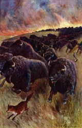 I Caught Sight of a Herd of Buffalo Dashing on to Escape the Flames
