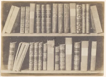 A Scene in a Library, plate VIII from the Pencil of Nature