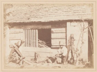 The Woodcutters