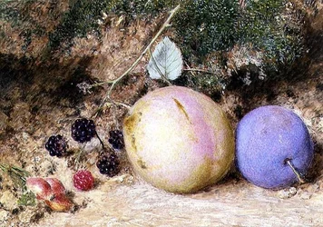 Rosehips, Blackberries and Plums