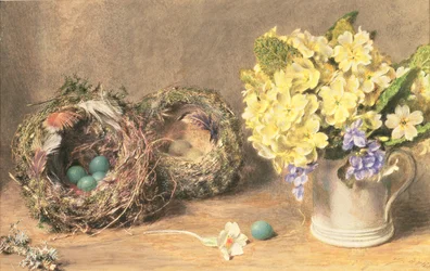 Spring Flowers and Birds