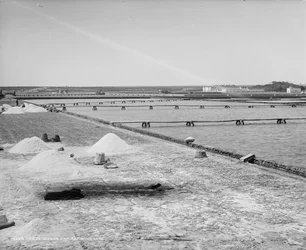 Salt works and refining vats, Mexico, c. 1880-97