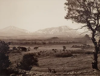 The Spanish Peaks