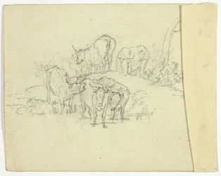 Cattle (recto); The Charlatan (verso)