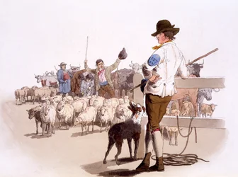 Herdsmen of Sheep and Cattle, from The Costumes of Great Britain, Published by Henry Miller, 1805