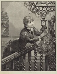 Hanging up the Mistletoe