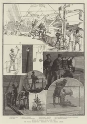 The Naval Manoeuvres