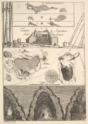 Fodina argentea Sahlensis - A Silver Mine at Sala - I from Aubry de La Mottrayes Tra