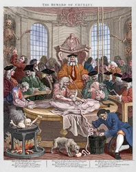 The Reward of Cruelty, a Lesson in Anatomy in 1750 by Hogarth