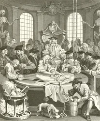 The Four Stages of Cruelty