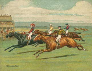 Races Historic and Modern, Flat Racing, Horse