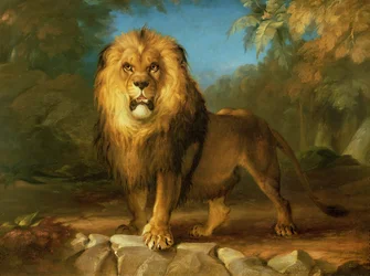 A Lion, 1840