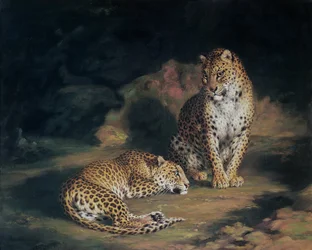 A Pair of Leopards