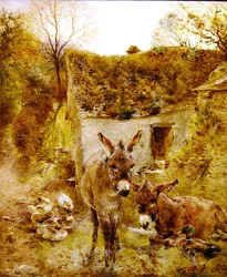 Donkeys and Ducks in a Farmyard