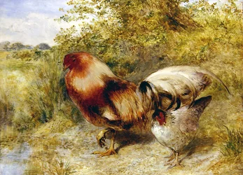 Poultry in a Landscape