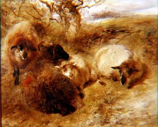 Rams and Ewes in a Landscape