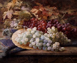 Red and White Grapes