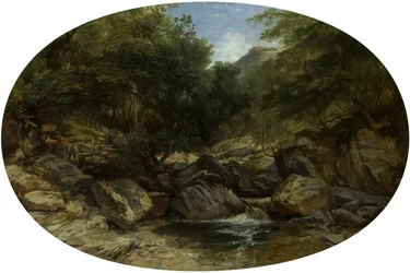 Rocky Stream at Lynmouth