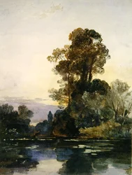 Tall Trees by a Lake