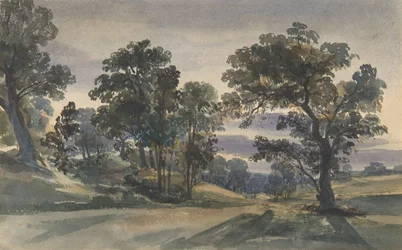 A Parkland View at Dusk