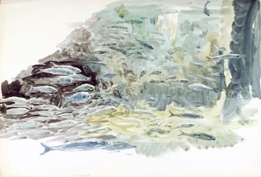 Underwater View of a Shoal of Fish