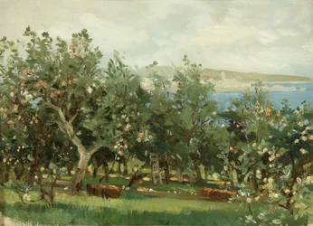 An Apple Orchard