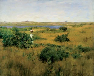 Summer at Shinnecock Hills