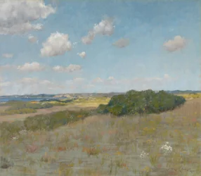 Sunlight and Shadow, Shinnecock Hills