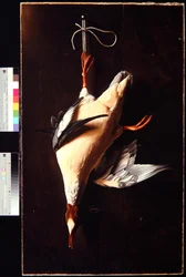 Merganser