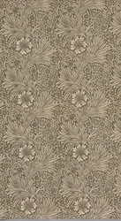 Marigold
