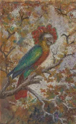 Parrot