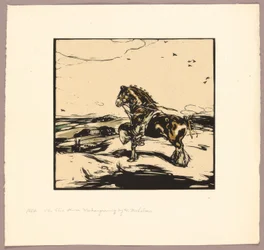 The Shire Horse
