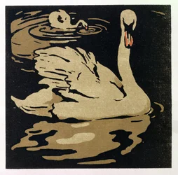 The Beautiful Swan, illustration from 