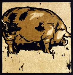 The Learned Pig, from 