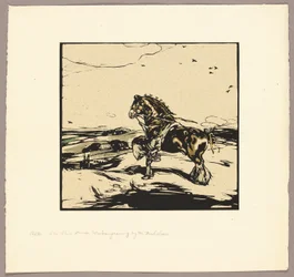The Shire Horse