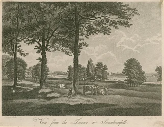 View from the Terrace of Strawberry Hill, London