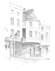 The Boar