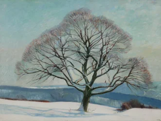Tree in Winter