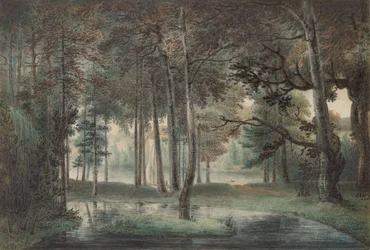 A View from the Artist