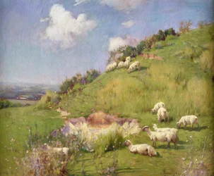 Sheep on a Hill Side