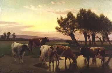 Evening near Amberley