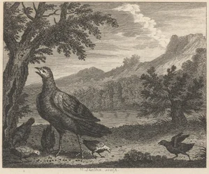 The Turkey and the Ant