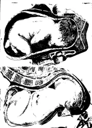 Fleuron from Book: A Treatise on the Theory and Practice of Midwifery