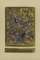 Sir James Douglas, Earl of Douglas and Avondale, 1461-1488