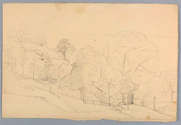 Study of Landscape